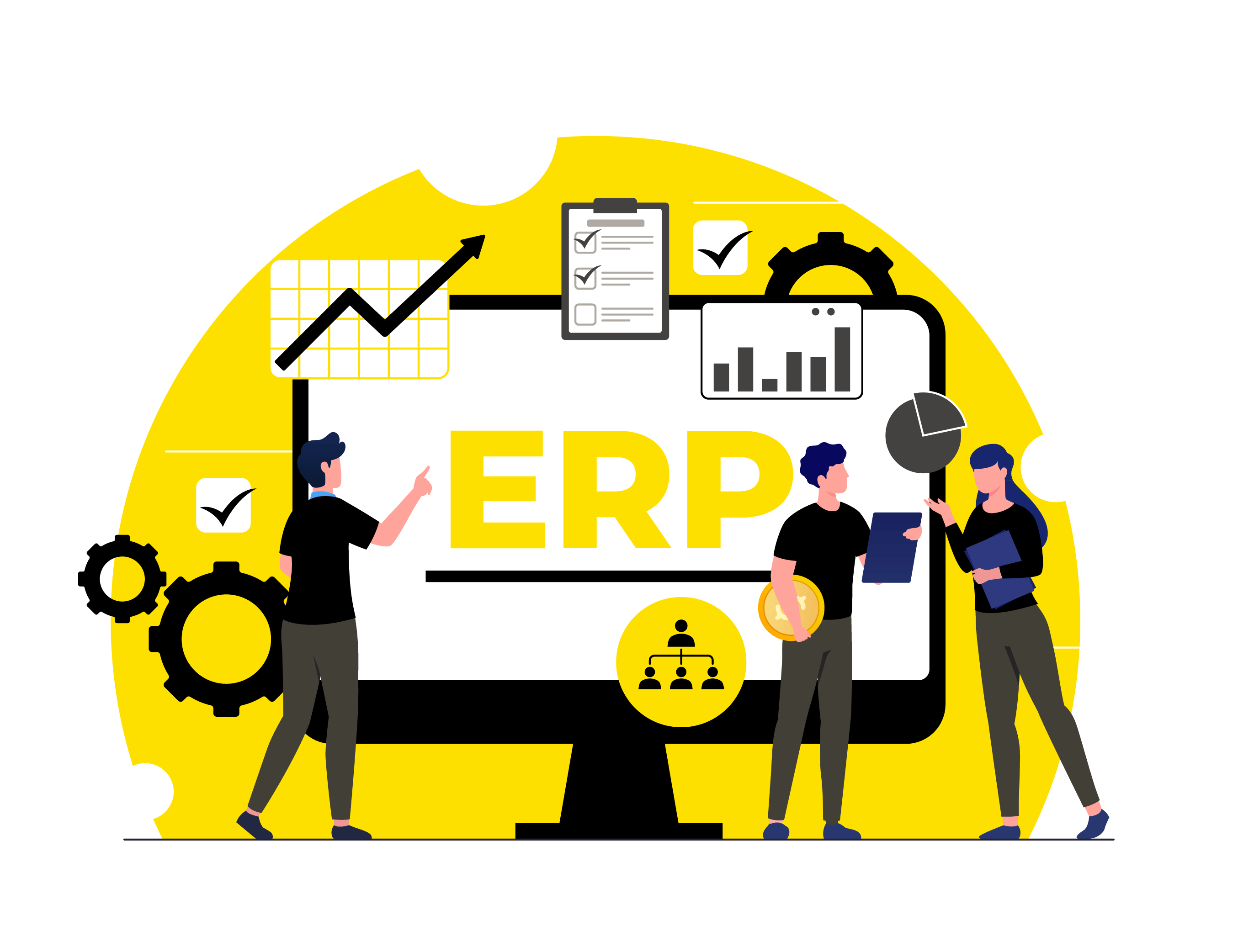 custom-erp-development